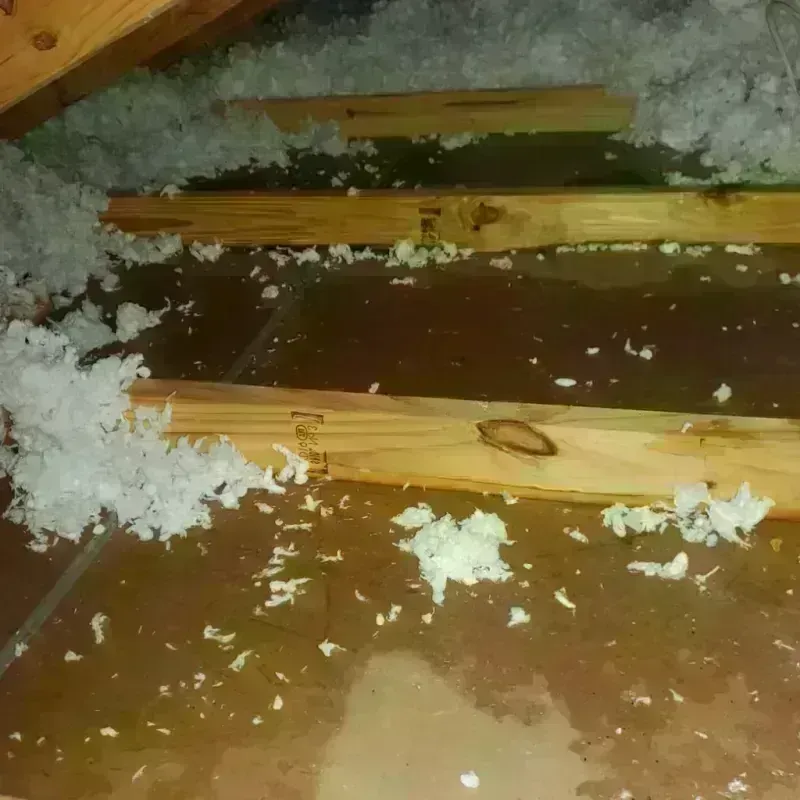 Attic Water Damage in Mount Zion, GA